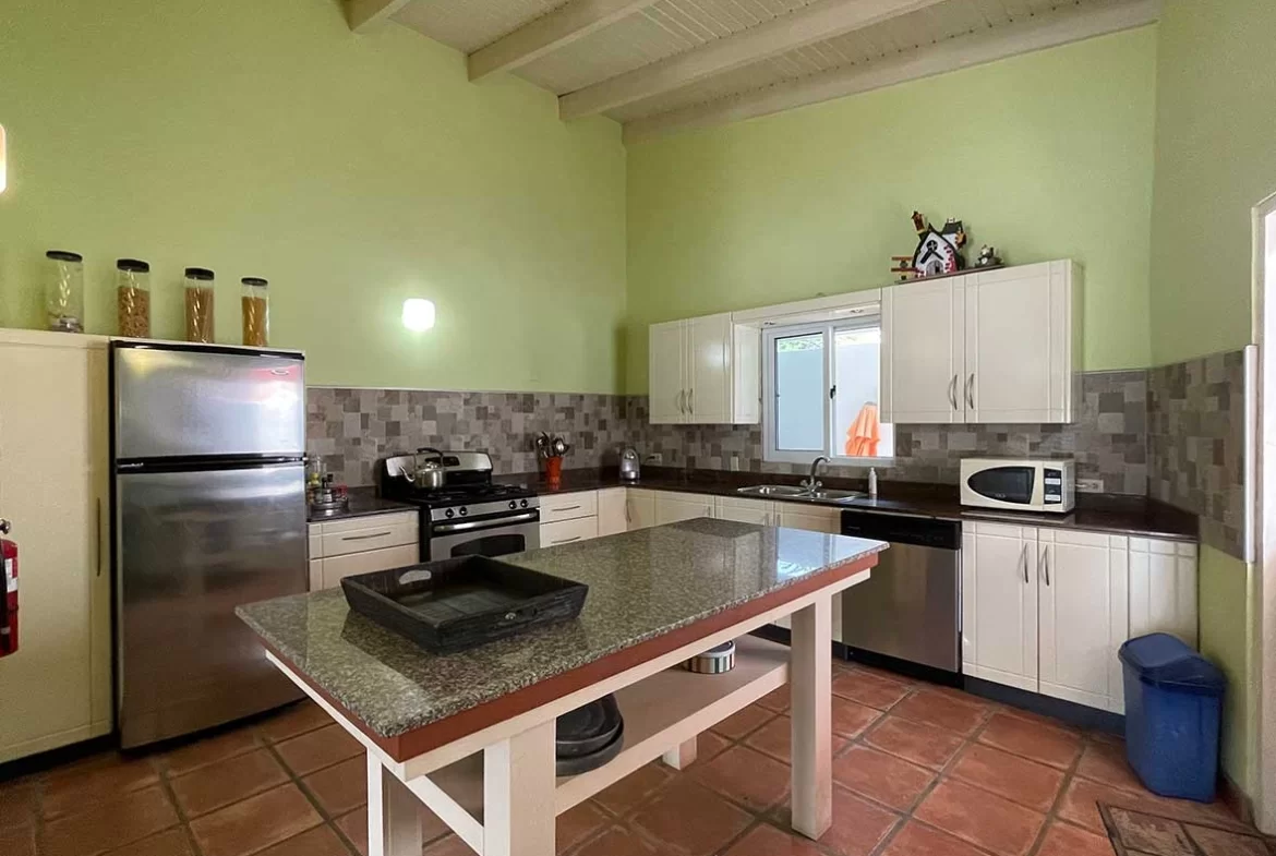 Kitchen-Aruba-Rentals-Happy-colors