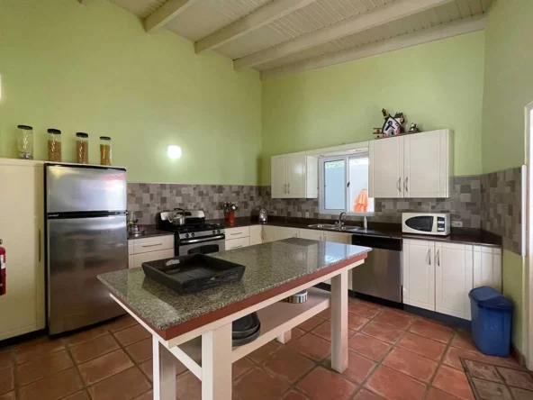 Kitchen-Aruba-Rentals-Happy-colors