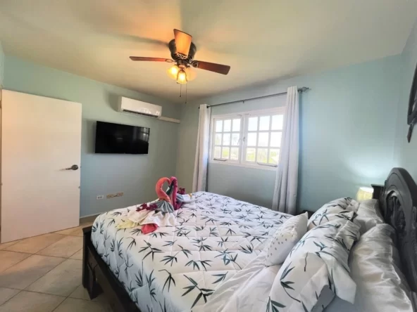 Rentals in aruba Aruba Happy Rentals Rentals in Palm Beach Rentals in Paradise Best Rentals Walking to the beach Best Rentals vacation Rentals One happy island