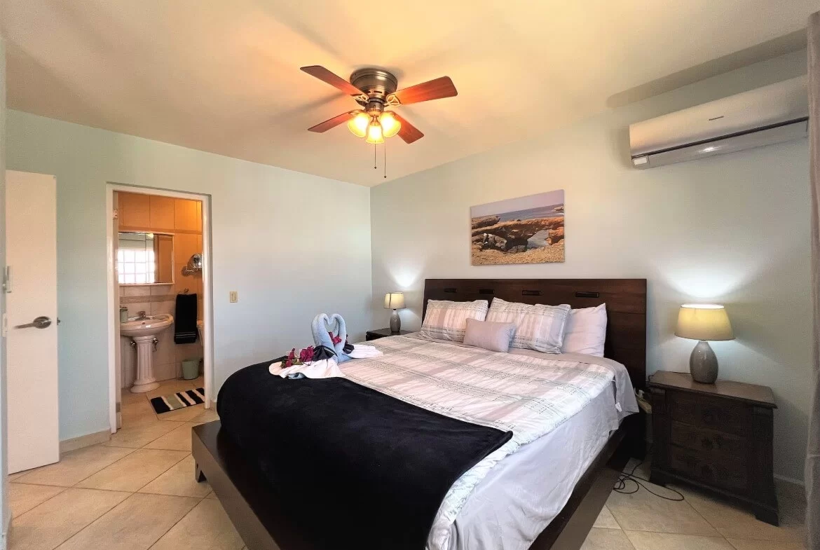 Rentals in aruba Best Rentals Aruba Happy Rentals Palm Beach Rentals Rentals in paradise Walking to the Beach Rentals Palm Real Rentals Vacation Rentals Best Deal Rentals