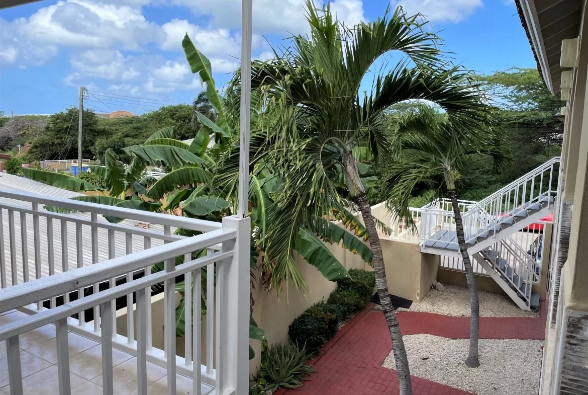 Rentals in Aruba Best Deal in Aruba Best Real State in Aruba Aruba Happy Rentals Aruba Rentals Best long term rentals Aruba Rentals Rent houses Apartament for rent