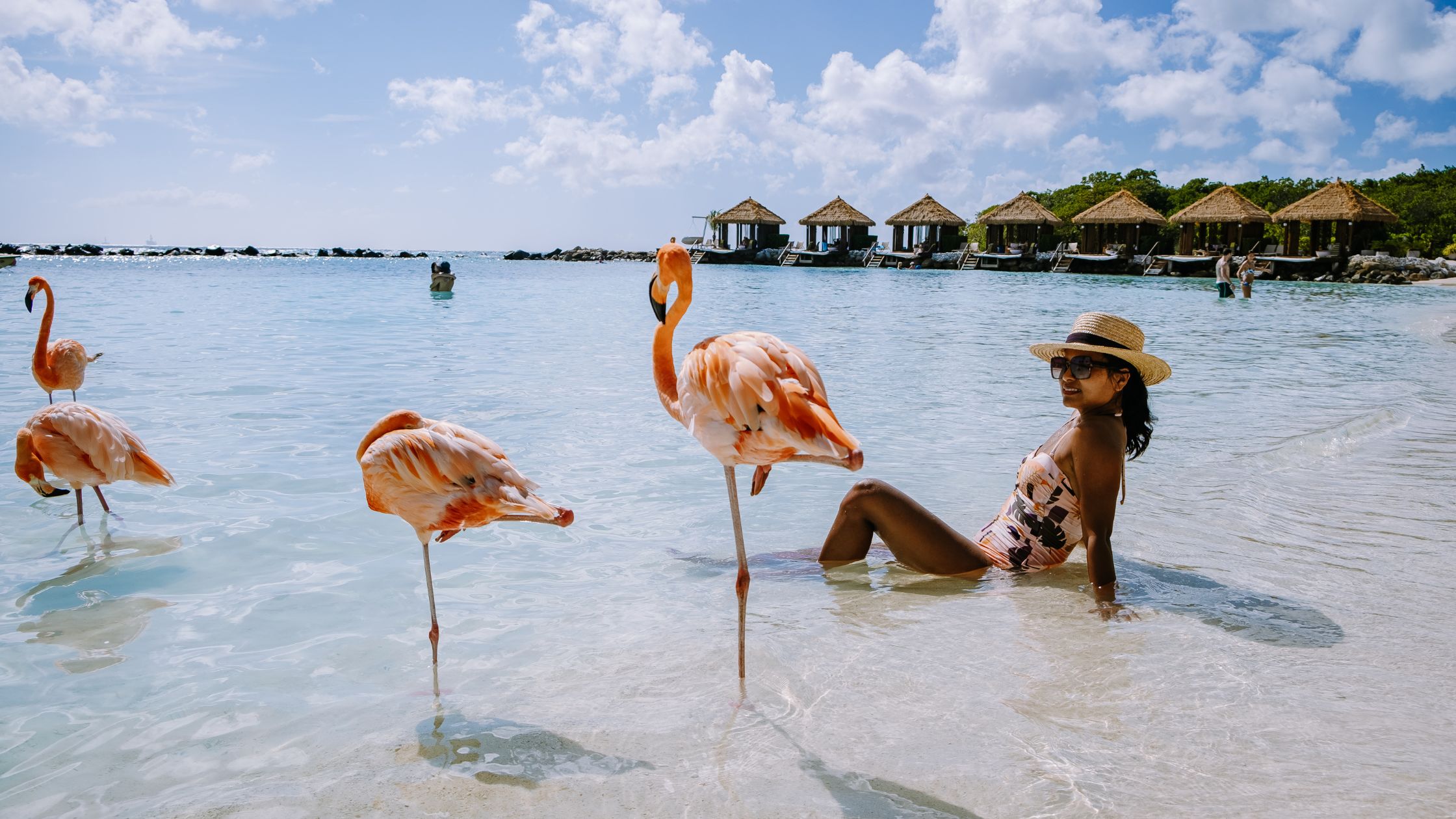 Explore the Best Things to Do in Aruba-rentals in aruba-arikokaruba-unwind