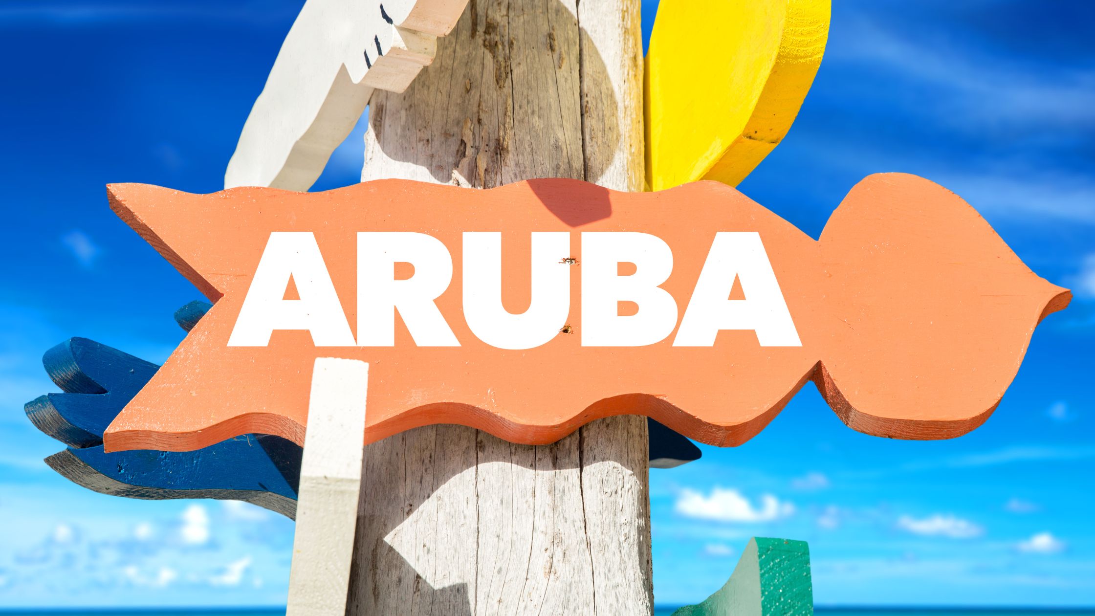 Explore the Best Things to Do in Aruba-rentals in aruba-plan-your-visit-unwind