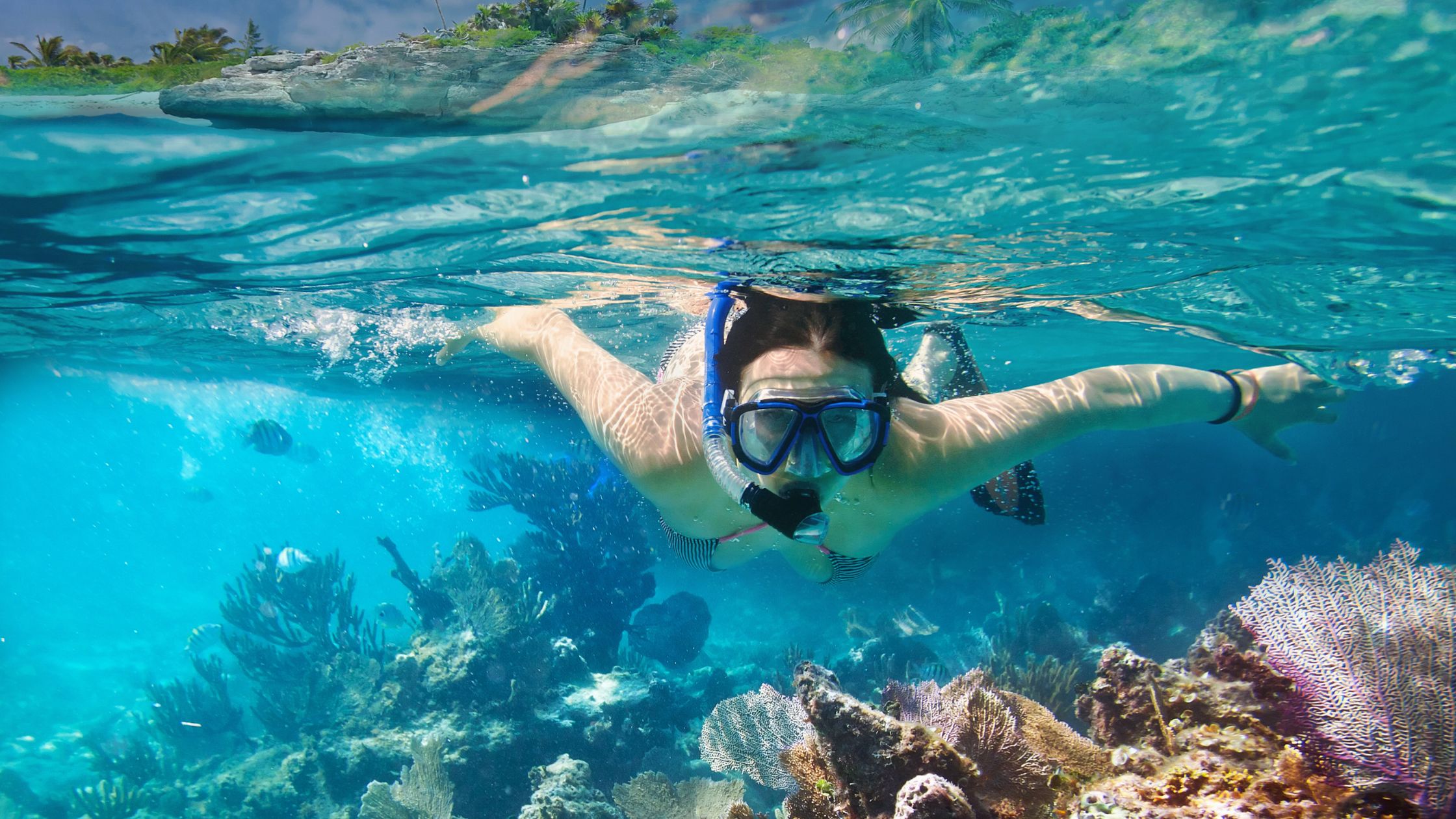 Dive Into Fun: Family-Friendly Snorkeling Spots in Aruba