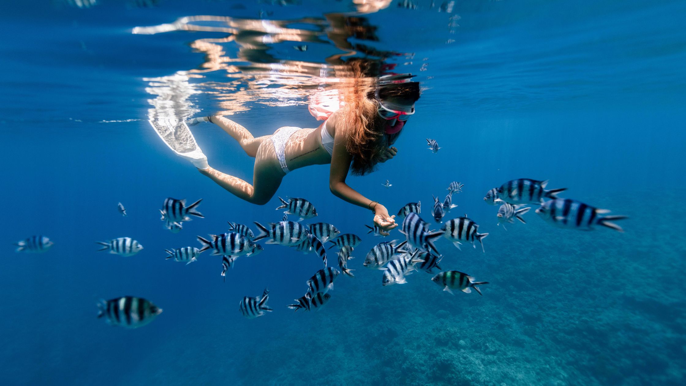 Dive Into Fun Family-Friendly Snorkeling Spots in Aruba (3)