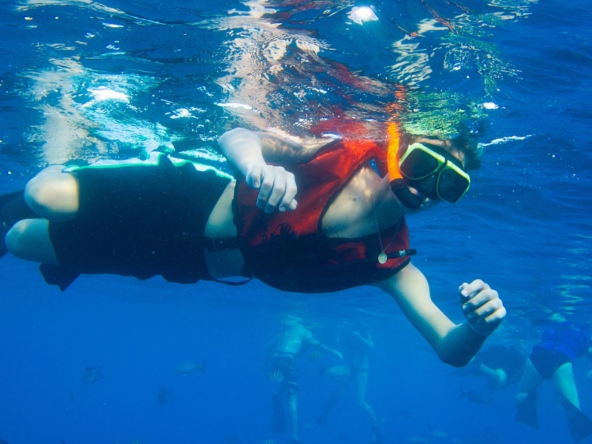 Dive Into Fun: Family-Friendly Snorkeling Spots in Aruba