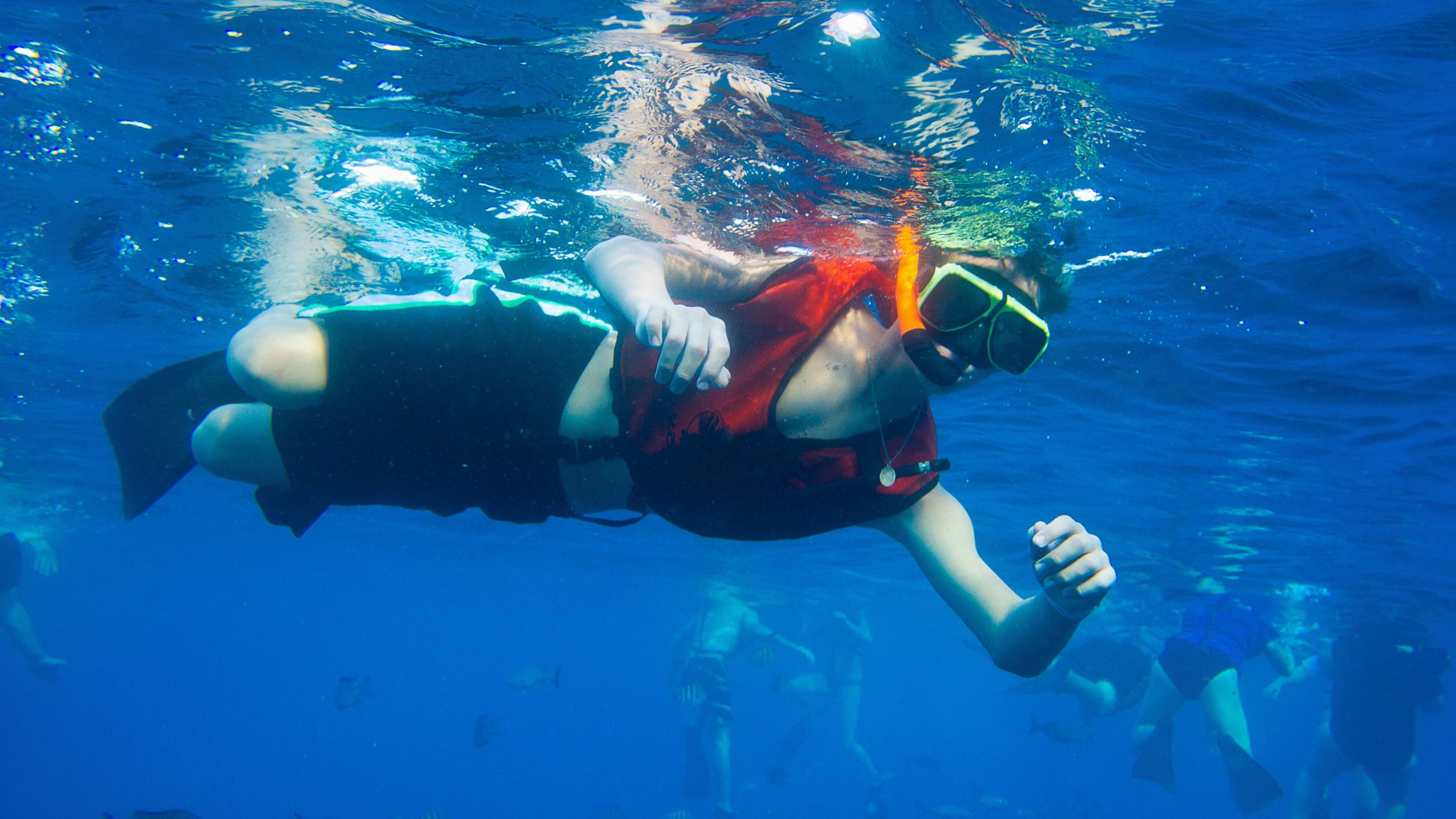 Dive Into Fun: Family-Friendly Snorkeling Spots in Aruba